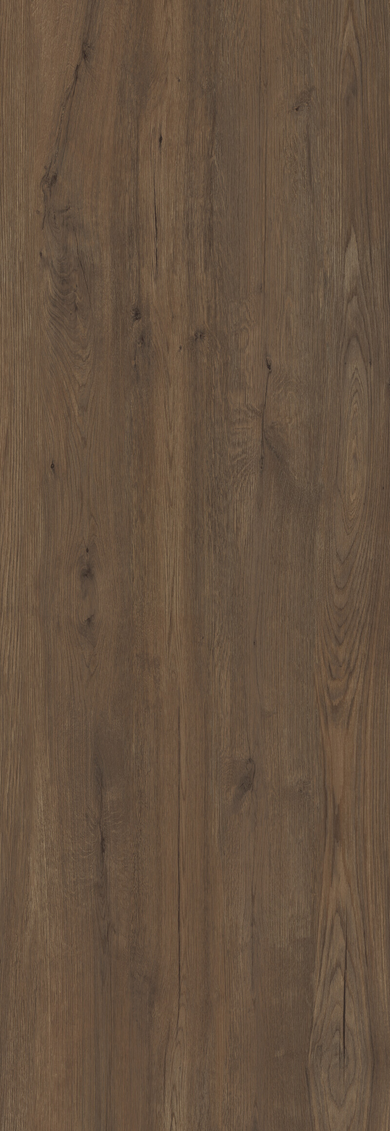 JUNGLA TECA NATURAL 100X300