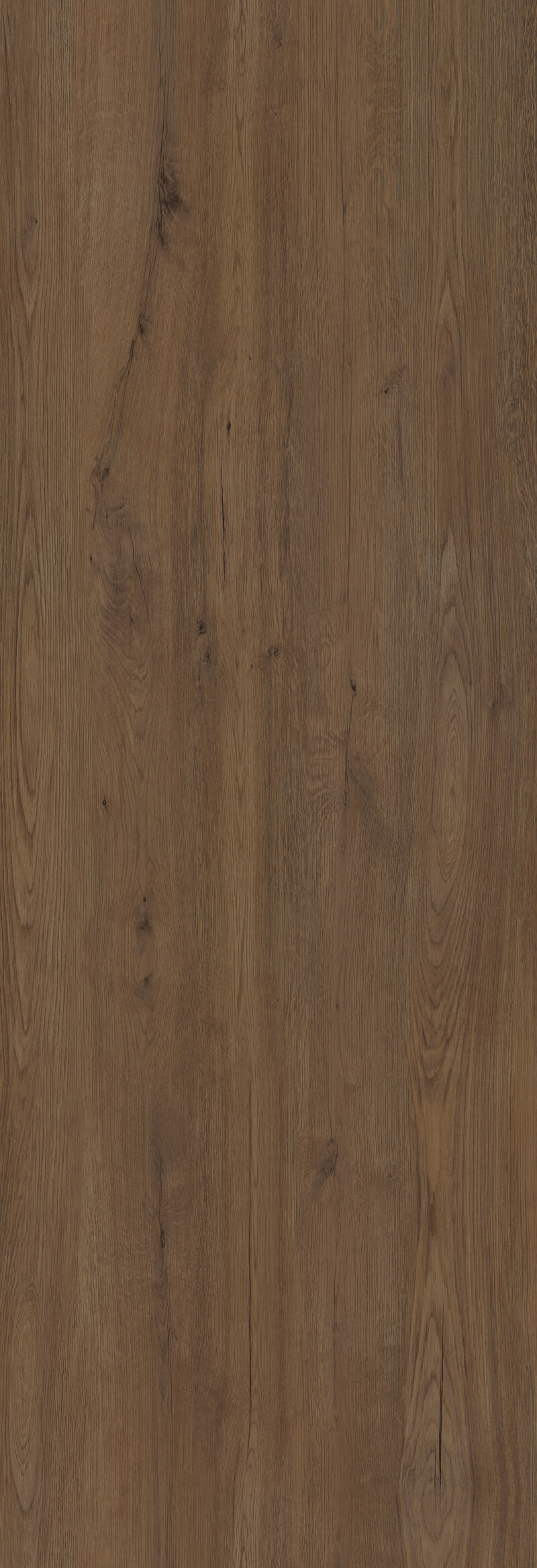 JUNGLA TECA NATURAL 120X360