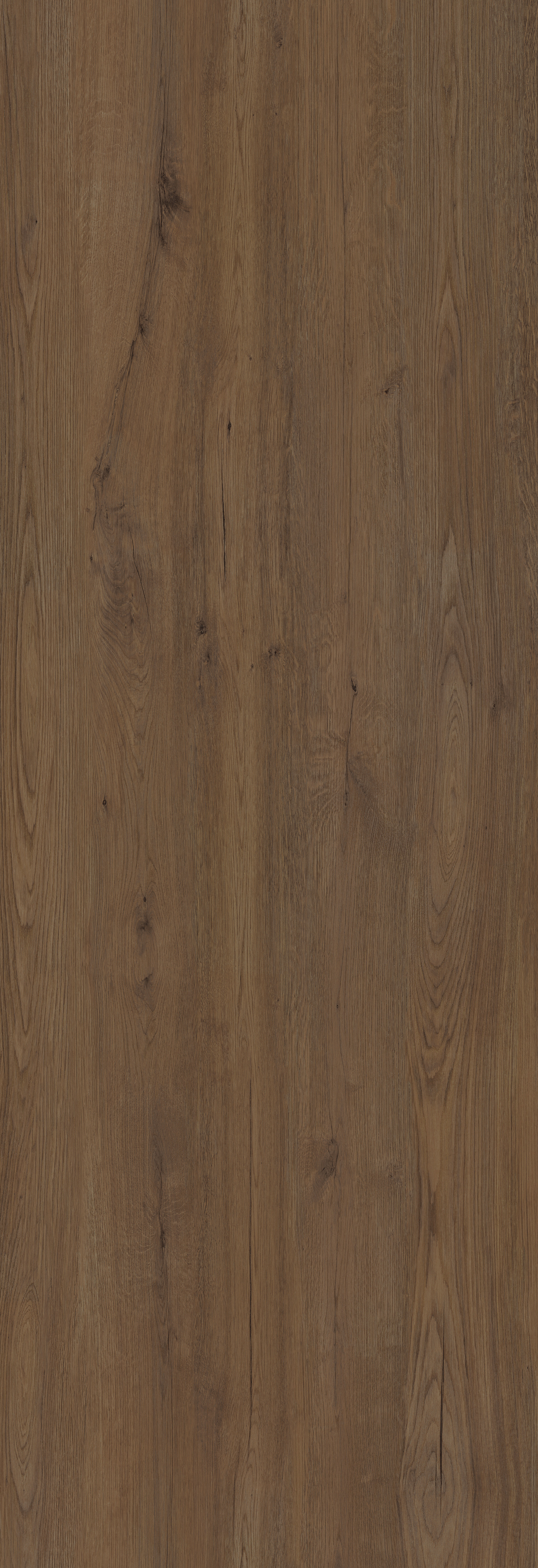 JUNGLA TECA NATURAL 120X360 | Grespania