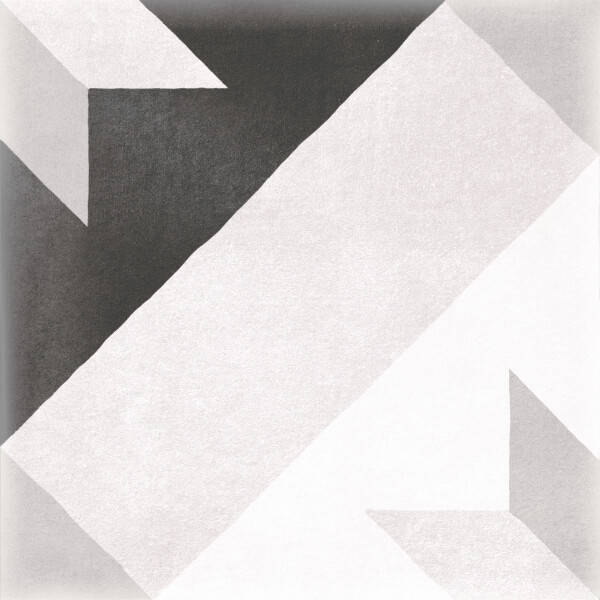 LICEO 01 NEGRO NATURAL 20X20