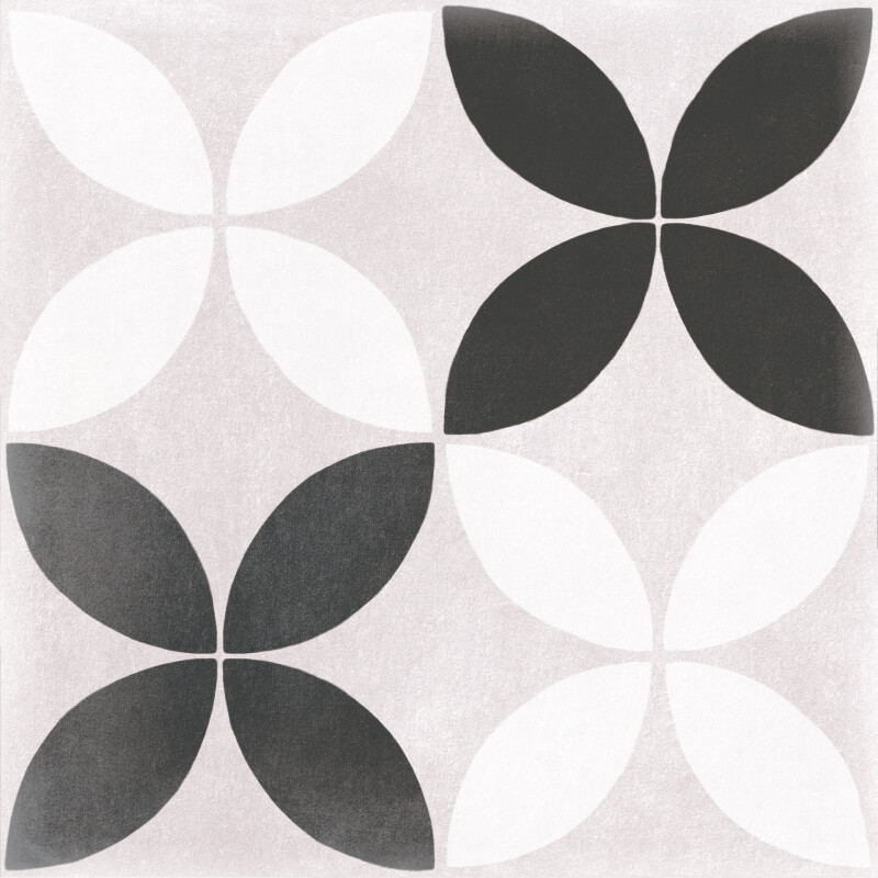 LICEO 02 NEGRO NATURAL 20X20