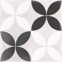 LICEO 02 NEGRO NATURAL 20X20