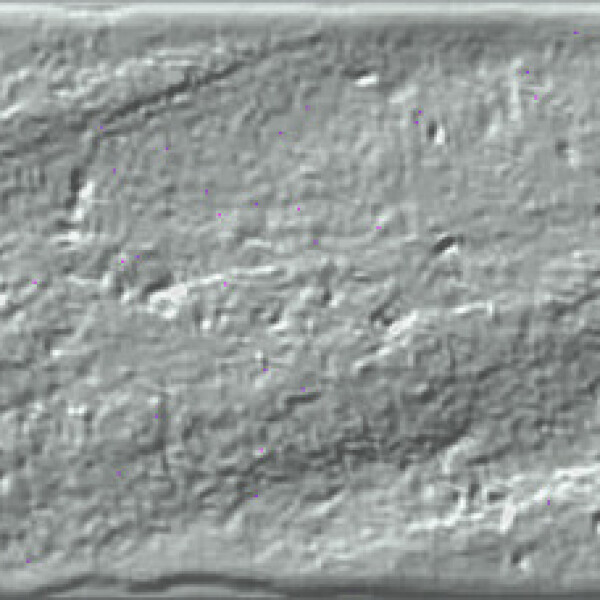 LUMEN PLATINO PULIDO 5.5X45