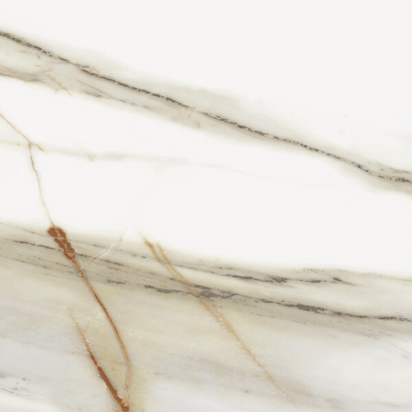 MACCHIA VECCHIA  NATURAL 60X120
