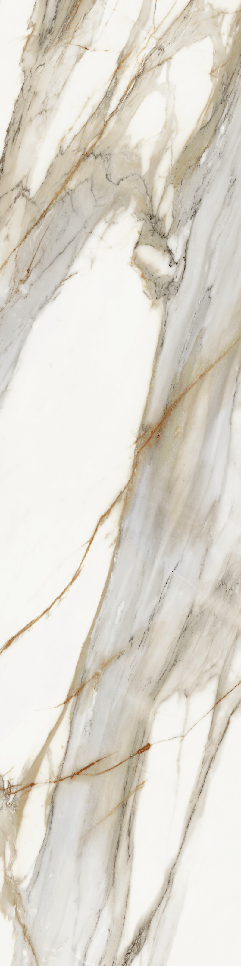 MACCHIA VECCHIA  NATURAL 81X324