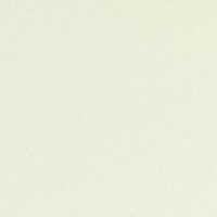 METEOR BLANCO NATURAL 30X60