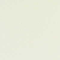 METEOR BLANCO PULIDO 30X60