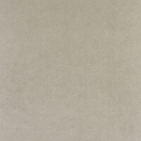 METEOR GRIS NATURAL 60X60