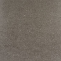 METEOR MOKA NATURAL 60X60