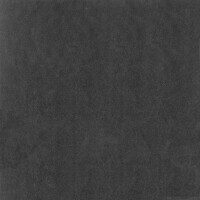 METEOR NEGRO NATURAL 80X80
