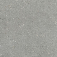 MITICA GRIS NATURAL 120X120