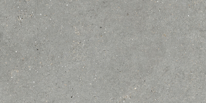 MITICA GRIS NATURAL 60X120