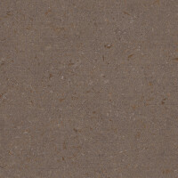 NANTO BROWN RELIEVE 120X278
