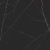 NERO ARDI  PULIDO 59X119