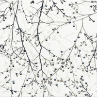 OCASO BLANCO NATURAL 30X60