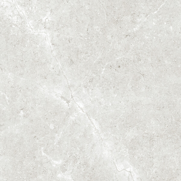 PALERMO GRIS NATURAL 60X60