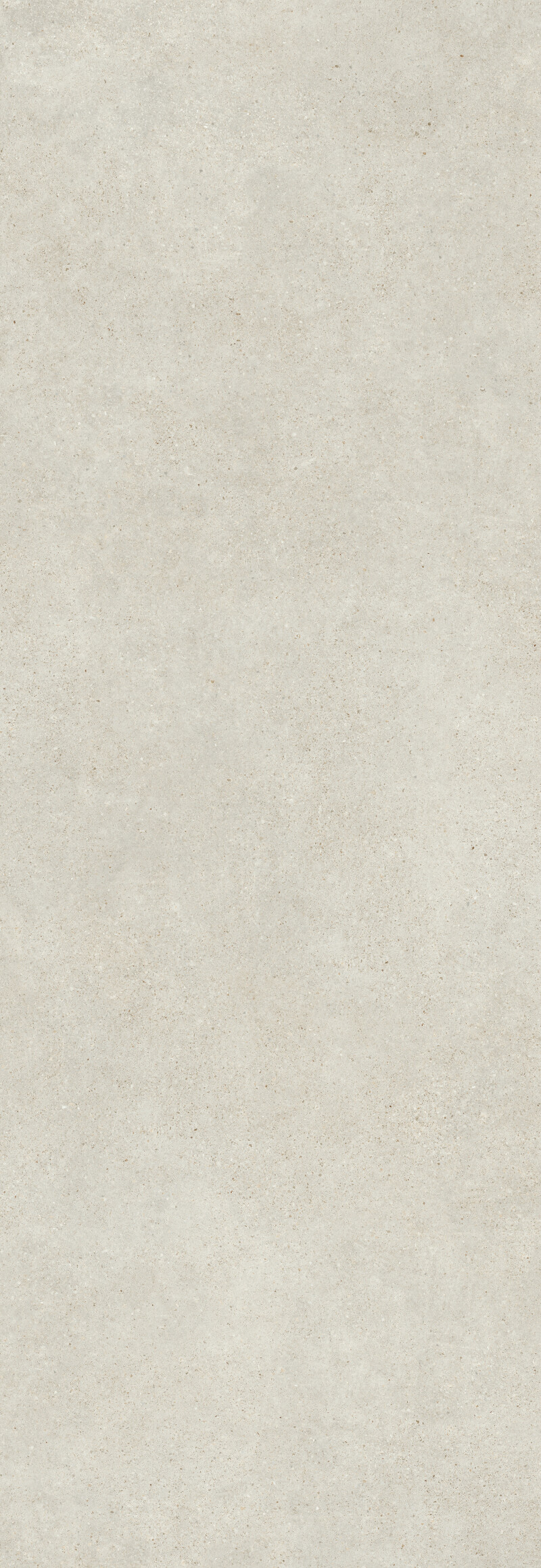 PANGEA GREIGE NATURAL 100X300
