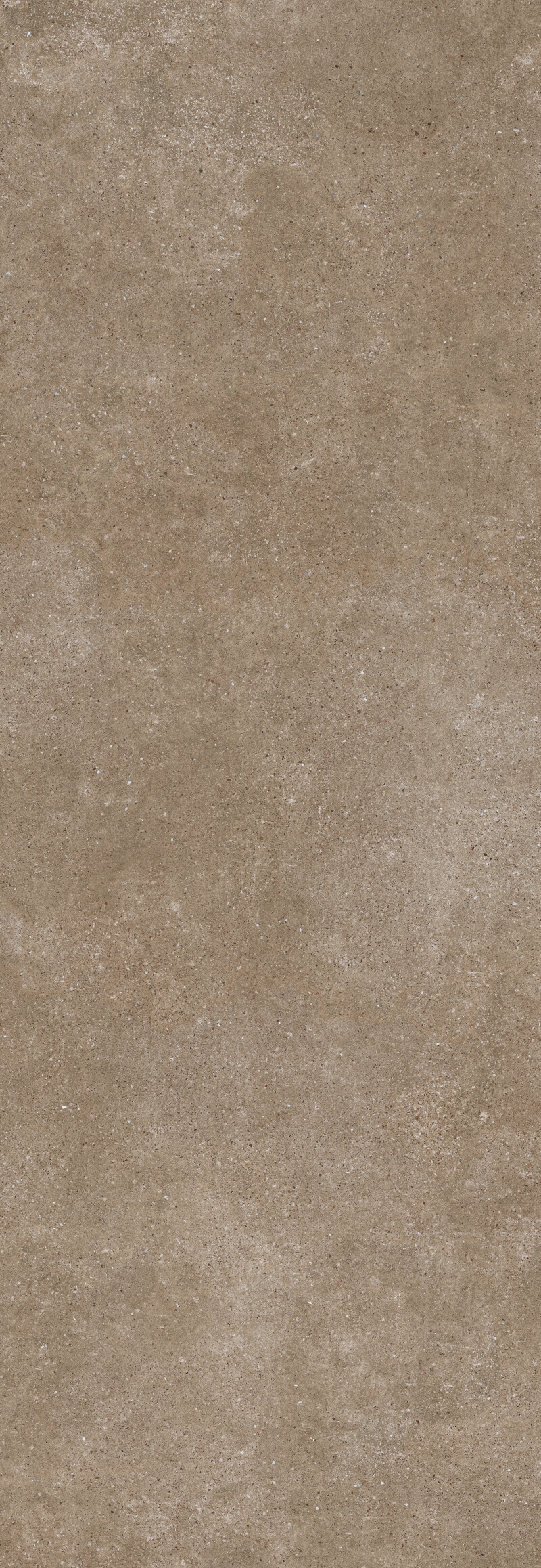 PANGEA TIERRA NATURAL 100X300