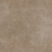 PANGEA TIERRA NATURAL 100X300