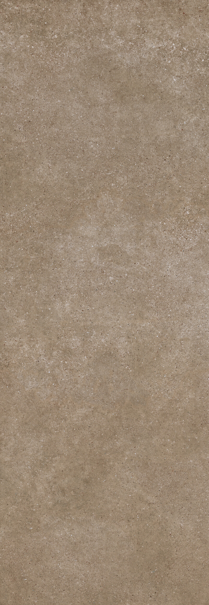 PANGEA TIERRA NATURAL 100X300