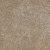 PANGEA TIERRA NATURAL 100X300