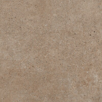 PANGEA TIERRA NATURAL 60X120