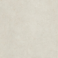 PANGEA GREIGE NATURAL 80X80