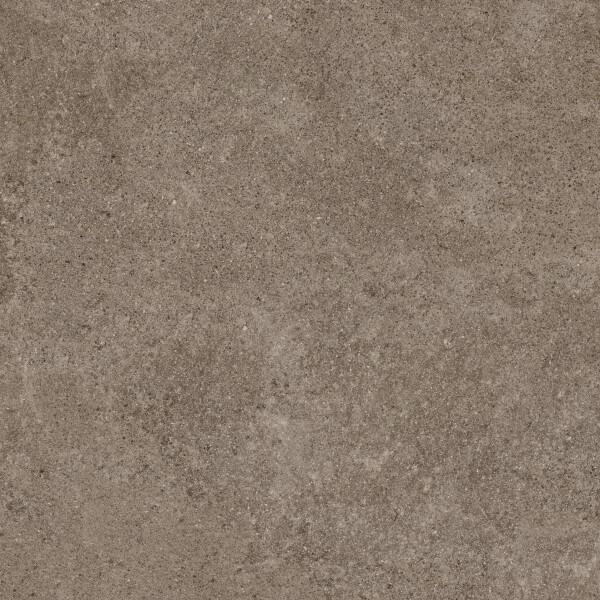 PORFIDO BROWN NATURAL 120X120