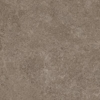 PORFIDO BROWN NATURAL 120X120