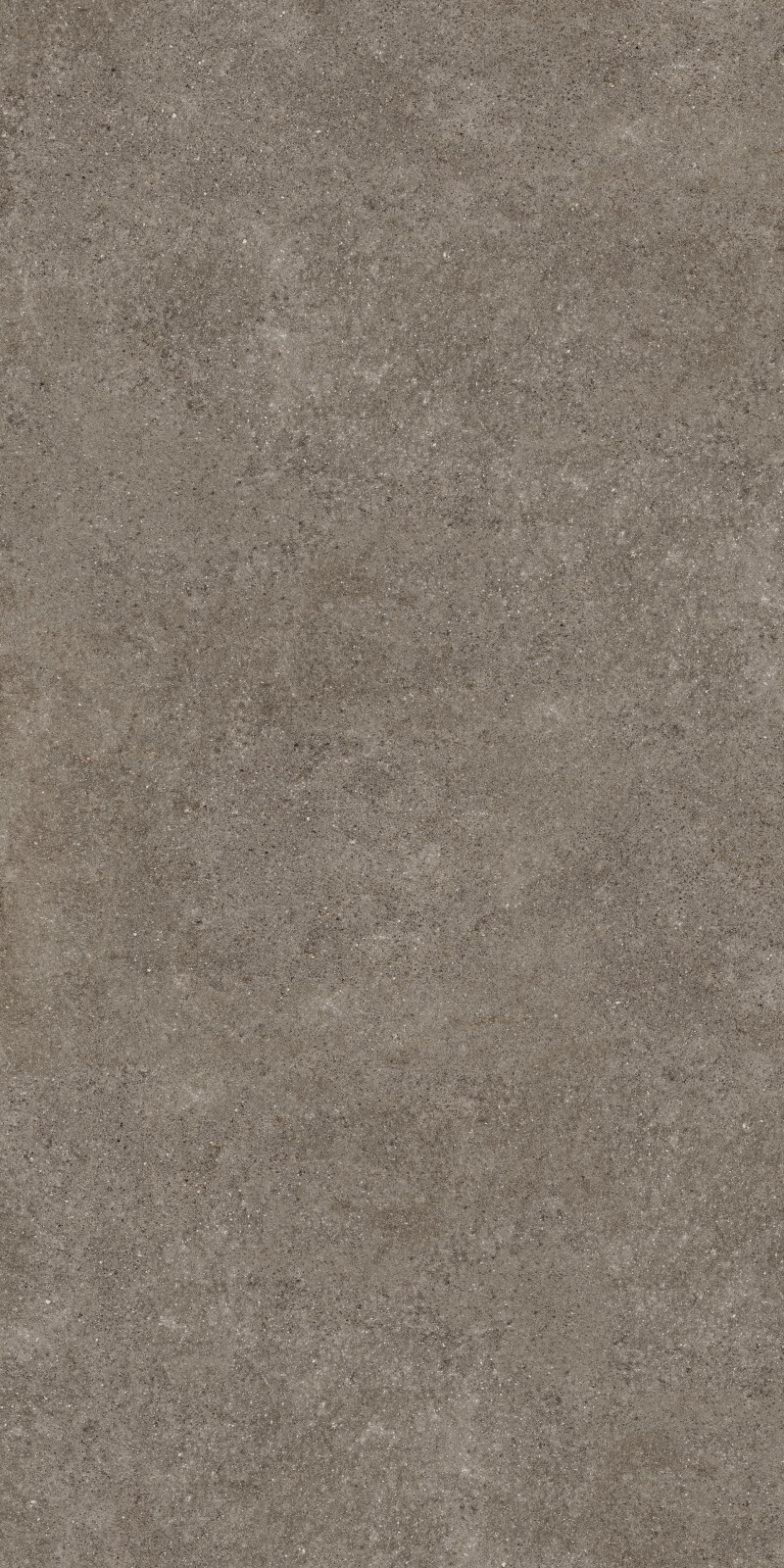 PORFIDO BROWN NATURAL 162X324
