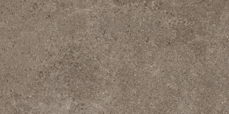 PORFIDO BROWN NATURAL 60X120