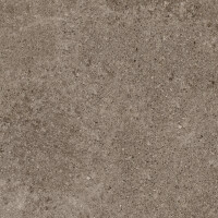 PORFIDO BROWN NATURAL 60X120