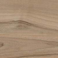 PRIORATO ROBLE NATURAL 19.5X120