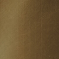 RIVOLI ORO RELIEVE 120X278