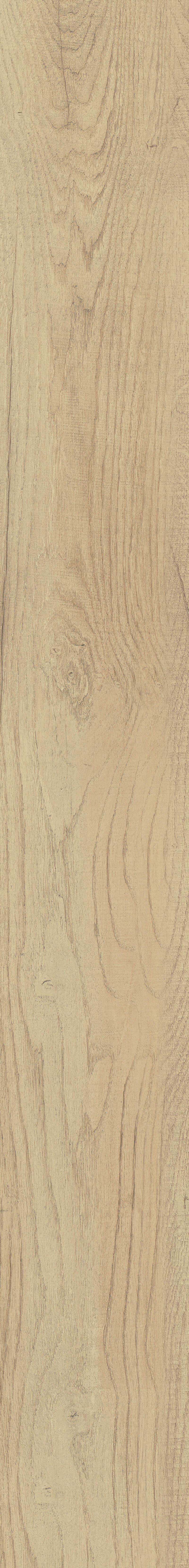 SAJONIA ROBLE NATURAL 14.5X120