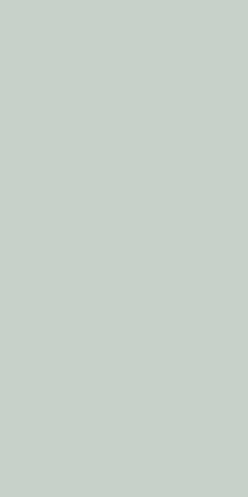 SIROS MENTA NATURAL 60X120