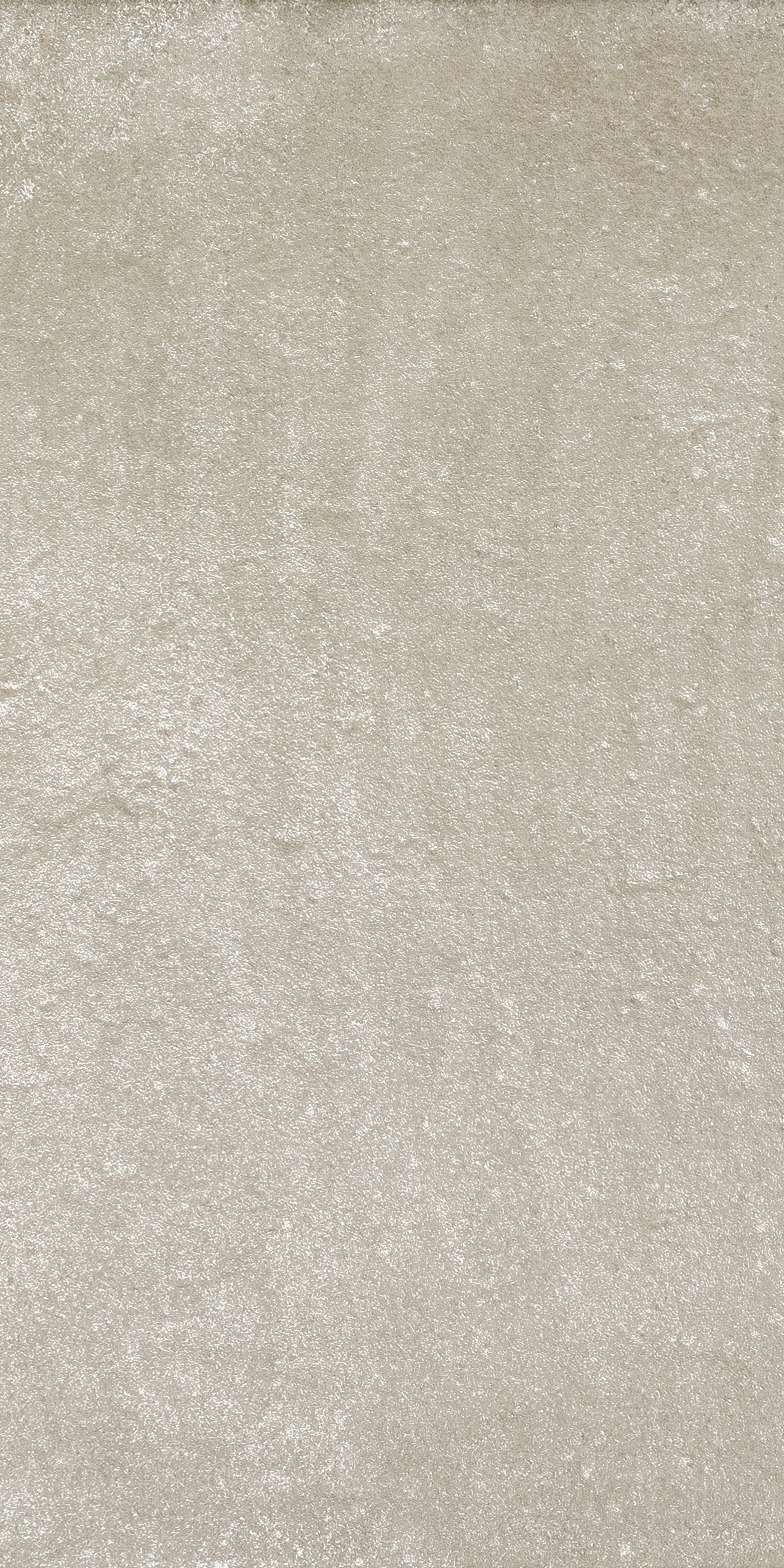 NIVEL ARENA シンデレラ SPL Nikke Nivel Arena BT01-055 SPL