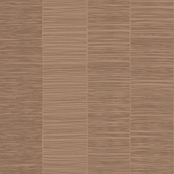 SUIZA  RELIEVE 60X120