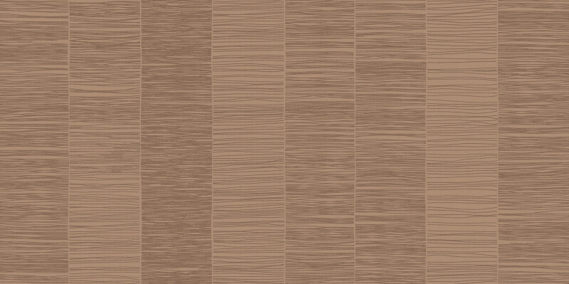 SUIZA  RELIEVE 60X120