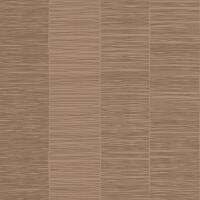 SUIZA  RELIEVE 60X120