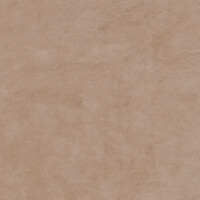 SURFACE SIENA NATURAL 100X300