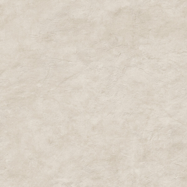 SURFACE ARENA NATURAL 120X278
