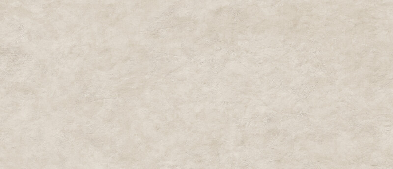 SURFACE ARENA NATURAL 120X278