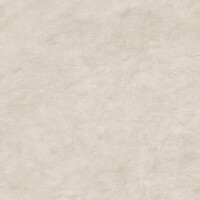 SURFACE ARENA NATURAL 120X278