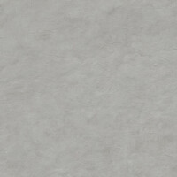 SURFACE SAGE NATURAL 120X278