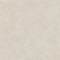 SURFACE ARENA NATURAL 120X120