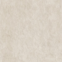 SURFACE ARENA NATURAL 120X120