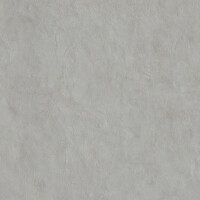 SURFACE SAGE NATURAL 120X120