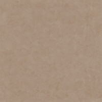 SURFACE SIENA ANTISLIP 120X120