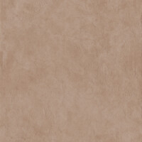 SURFACE SIENA NATURAL 120X120